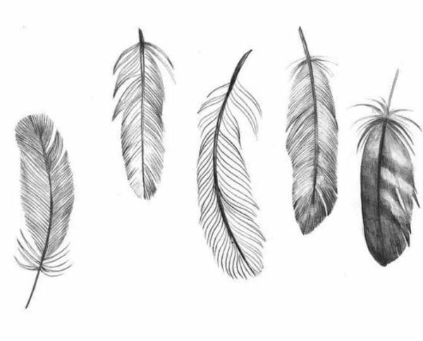 Feather tattoo print of design
