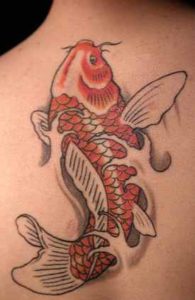 Koi fish turning into dragon