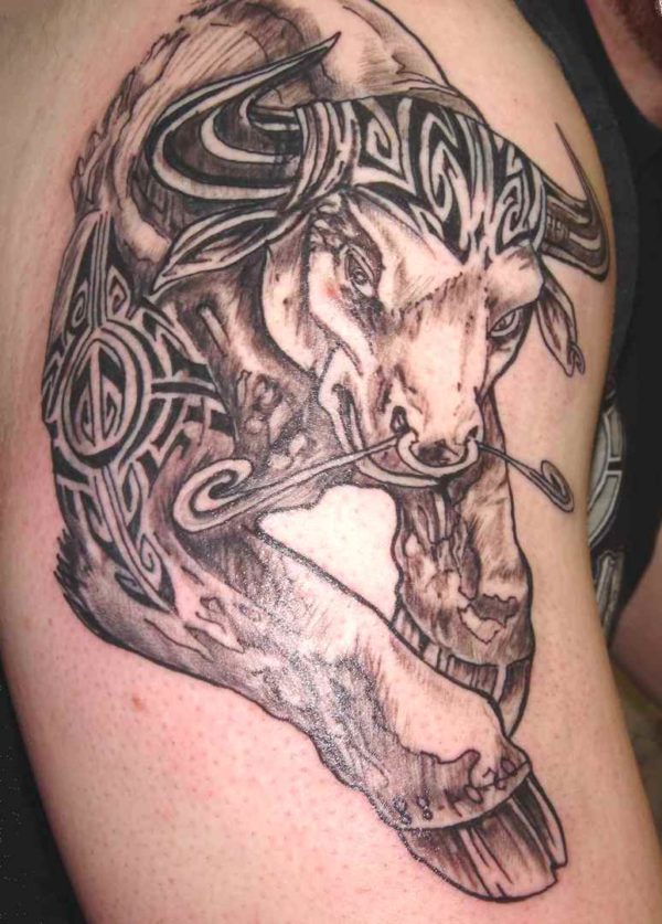 Bull tattoo arm